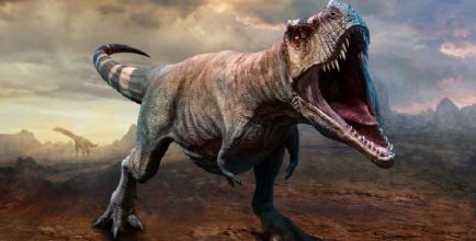 Dinosaurs