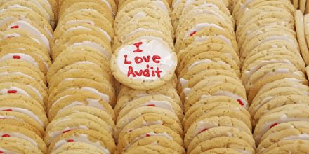 The BIscuit Auditor